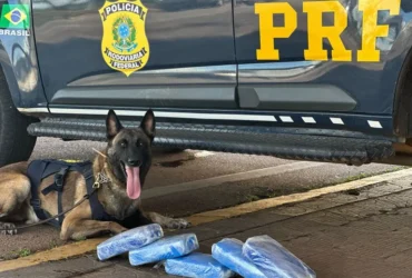 PRF intercepta mais de 21 kg de cocaína e prende motorista em operação na BR-364