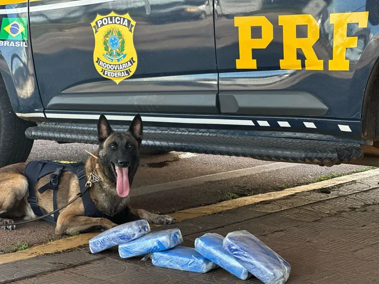 PRF intercepta mais de 21 kg de cocaína e prende motorista em operação na BR-364