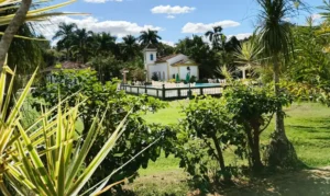 Festival valoriza cultura e história com música no Vale do Café