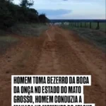 Cena dramática de homem salvando bezerro de ataque de onça no Mato Grosso. Créditos: ws_cicero no Instagram.