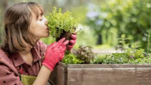 Horta em casa com baixo custo: o que plantar e como começar