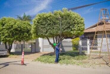 Mais de 10 equipes atuam em diversos bairros da cidade para manter a saúde da arborização, melhorar a iluminação pública e proteger a infraestrutura urbana; cronograma seguirá até agosto em áreas com maior densidade populacional