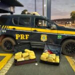 Foragida é presa com 29 kg de Skunk em ônibus na BR-364