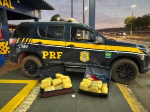 Foragida é presa com 29 kg de Skunk em ônibus na BR-364