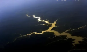 Amazônia enfrenta disputas e conflitos nas fronteiras internacionais