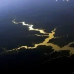 Fundo amazônia completa 17 anos com investimento recorde de mais de R$ 210 milhões