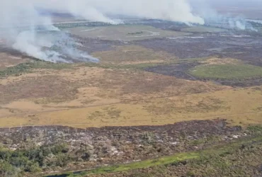 Corumbá-MS 20/09/2024 Polícia Federal deflagrou na manhã desta sexta-feira (20/9) a Operação Prometeu para combater os crimes de incêndio, desmatamento, exploração ilegal de terras da União, entre out