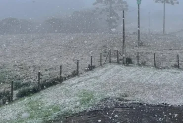São José dos Ausentes (RS), 09/08/2025 - Neve no Rio Grande do Sul. Foto: Milena Velho Amaral/Divulgação