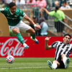 Botafogo x Palmeiras: duelo direto no G-6 promete agitar o Nilton Santos. Imagem: Cesar Greco/Ag. Palmeiras