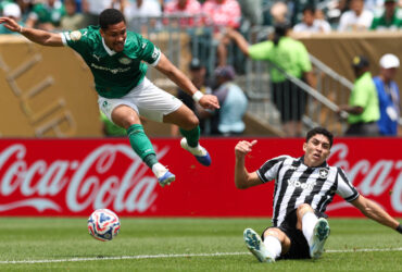 Botafogo x Palmeiras: duelo direto no G-6 promete agitar o Nilton Santos. Imagem: Cesar Greco/Ag. Palmeiras