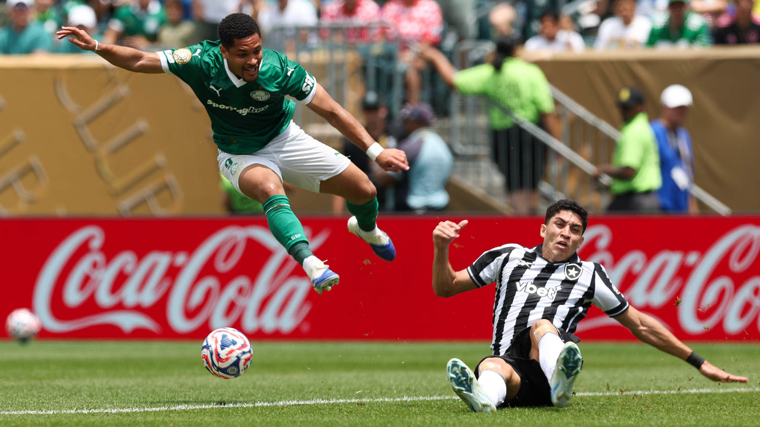Botafogo x Palmeiras: duelo direto no G-6 promete agitar o Nilton Santos. Imagem: Cesar Greco/Ag. Palmeiras