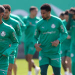 Universitario x Palmeiras: onde assistir, prováveis escalações e análise do confronto pela Libertadores 2025. Imagem: Cesar Grecco/Ag. Palmeiras