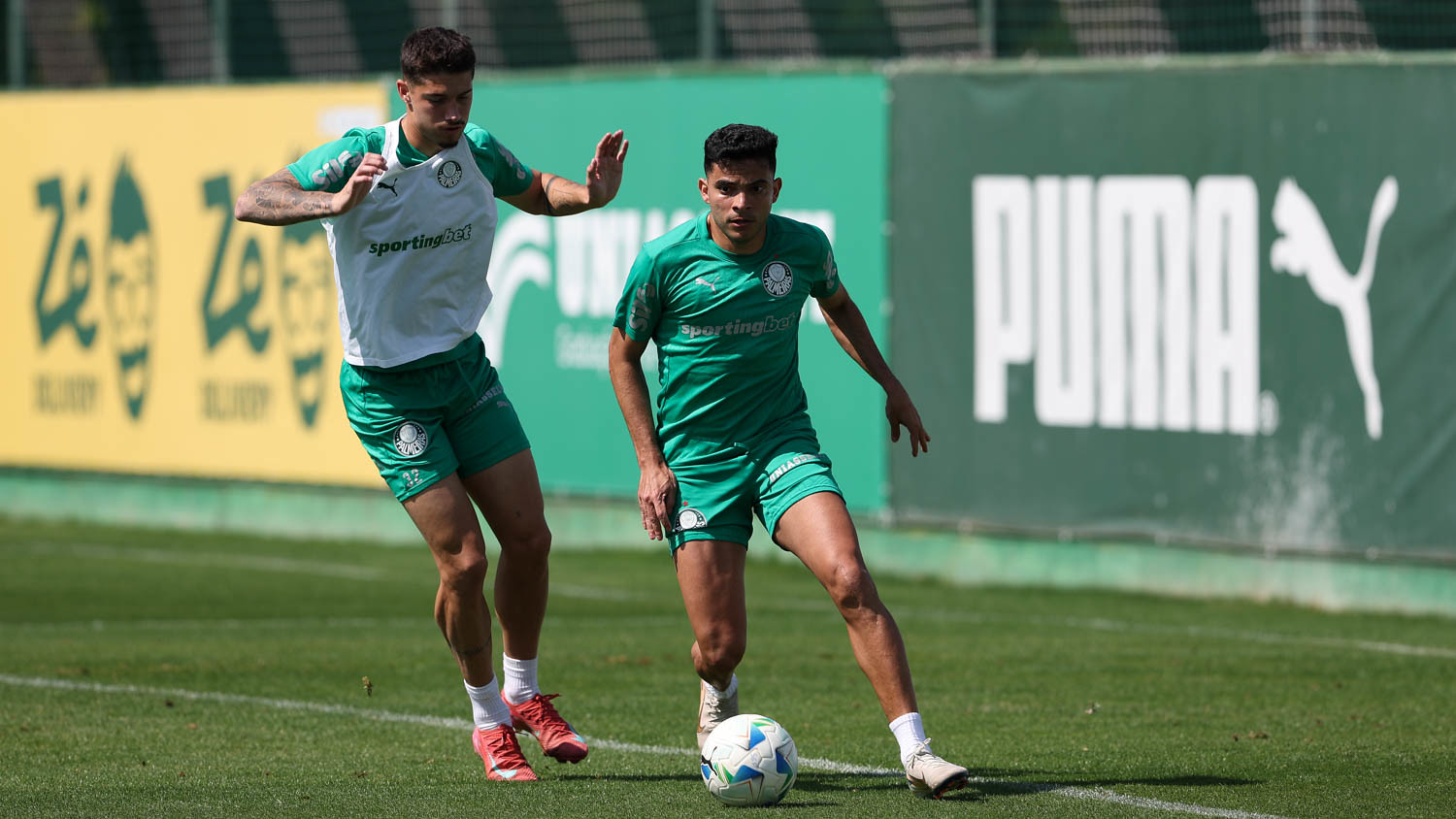 Universitario x Palmeiras: onde assistir, prováveis escalações e análise do confronto pela Libertadores 2025. Imagem: Cesar Grecco/Ag. Palmeiras