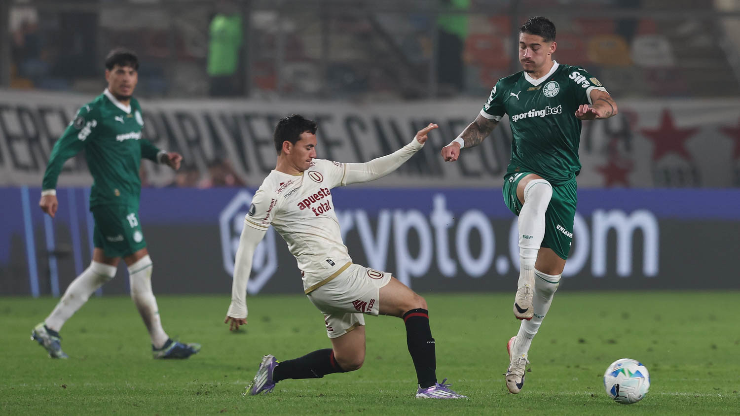 Palmeiras x Universitario: onde assistir, escalações e tudo sobre o duelo decisivo da Libertadores. Imagem: Cesar Greco/Ag. Palmeiras
