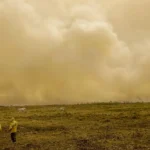 Queimadas registram menor número em agosto desde 2019, aponta Inpe