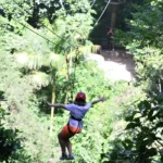 Concessão de parques recebe aprovação da maioria dos gestores no Brasil