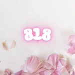 818