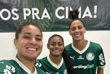 Brasileirão: Palmeiras e Cruzeiro avançam às semifinais em busca do título inédito