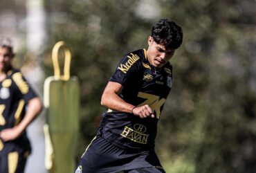 Santos x Juventude ao vivo: onde assistir, escalações e análise do duelo direto contra o Z-4 na Série A 2025. Imagem: @raulbaretta_photo Santos FC