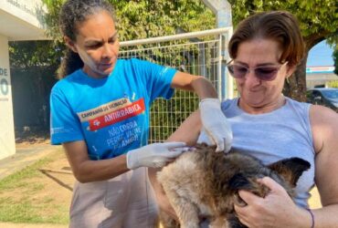 Campanha antirrabica ja soma mais de 4 mil animais protegidos somente na zona rural -CenárioMT