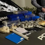 Cavalaria da PM apreende grande quantidade de drogas em Sinop e Sorriso