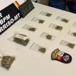 Cavalaria da PM prende foragido e suspeitos de tráfico em Sorriso