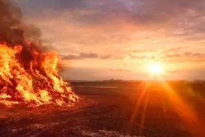 Clima em Mato Grosso