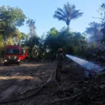 Bombeiros de Mato Grosso controlam incêndio antes que atinja residências