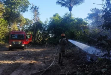 Bombeiros de Mato Grosso controlam incêndio antes que atinja residências