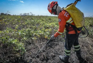 Bombeiros de Mato Grosso combatem 12 incêndios florestais ativos nesta sexta