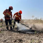 Corpo de Bombeiros combate oito incêndios e extingue três em Mato Grosso