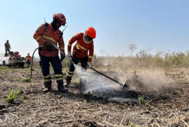 Corpo de Bombeiros combate oito incêndios e extingue três em Mato Grosso