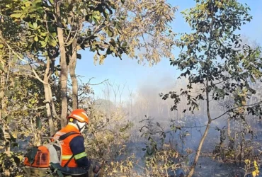 Bombeiros Contêm Incêndio Rápido às Margens da BR-364 em Mato Grosso