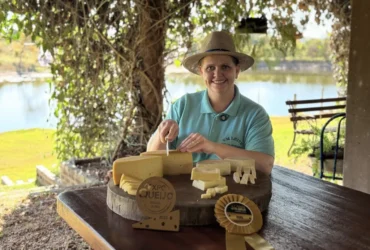 Crédito da Desenvolve MT impulsiona queijos artesanais premiados