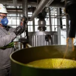 Empregos crescem em Mato Grosso com saldo positivo em junho