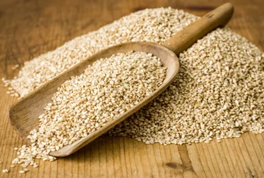 Mato Grosso passa a concentrar um terço das empresas brasileiras aptas a atender o maior mercado importador de gergelim do mundo