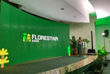 Setor florestal em Mato Grosso ganha destaque em evento estratégico