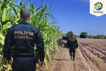 Federal cana de acucar