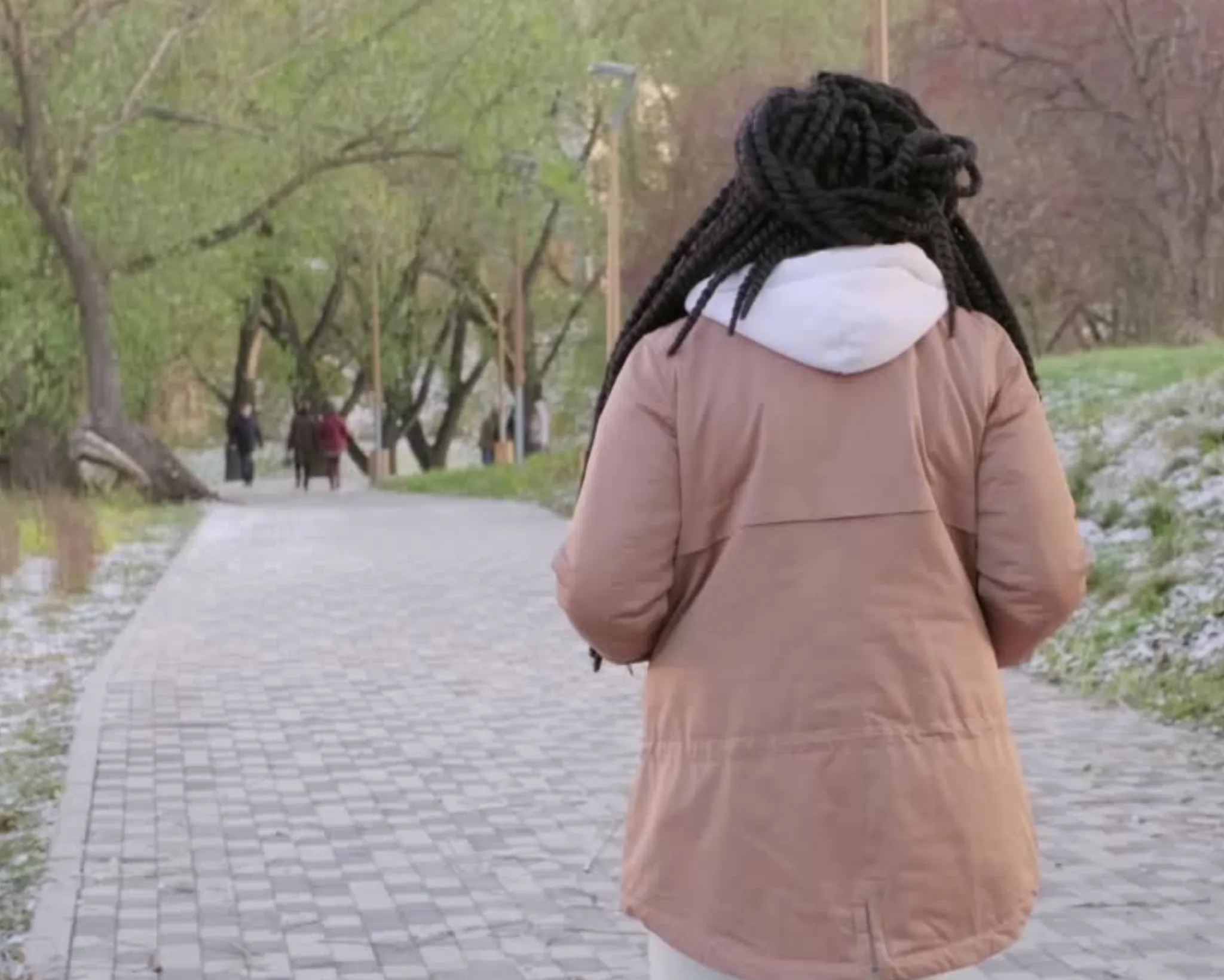 Frente Fria em Mato Grosso - Imagem do Canva