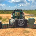 Apreensão de 500 quilos de drogas mobiliza forças de segurança em Rondônia