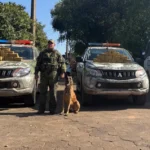 Gefron apreende 50 quilos de pasta base de cocaína em micro-ônibus no interior
