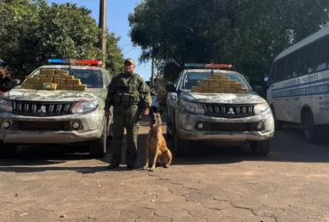 Gefron apreende 50 quilos de pasta base de cocaína em micro-ônibus no interior