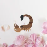 Horóscopo para o signo de Escorpião