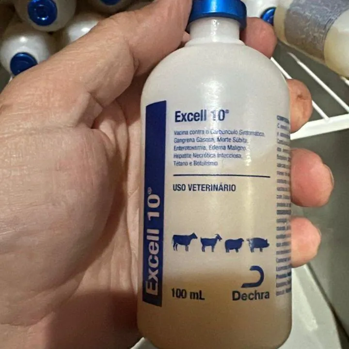 Indea determina suspensão da vacina Excell 10 em Mato Grosso após mortes no Piauí