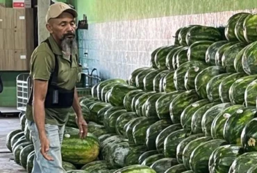 Melancia e coco verde lideram custo-benefício no atacado em Mato Grosso