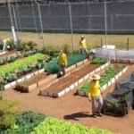 Oficinas prisionais em Mato Grosso oferecem trabalho e qualificação a reeducandos