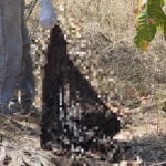 Ossada em Mato Grosso indica tortura e possível decapitação