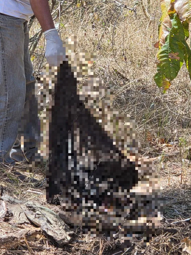 Ossada em Mato Grosso indica tortura e possível decapitação