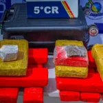 Polícia apreende maconha em rodoviária de Barra do Garças e prende mulher por tráfico