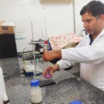 Cajus-do-cerrado coletados no campo para realização de testes